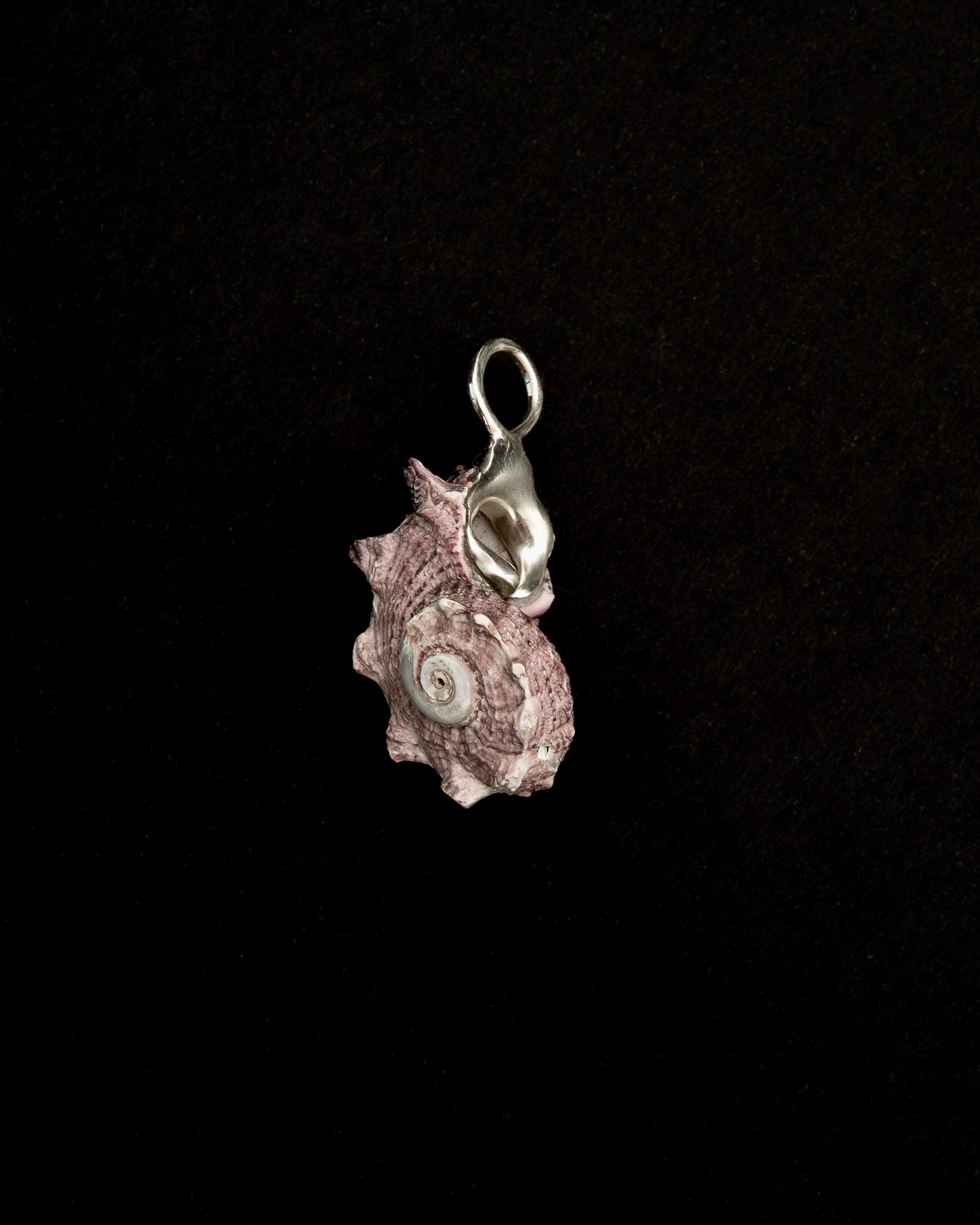 Mauve-hued Shell, Held in Sterling Silver