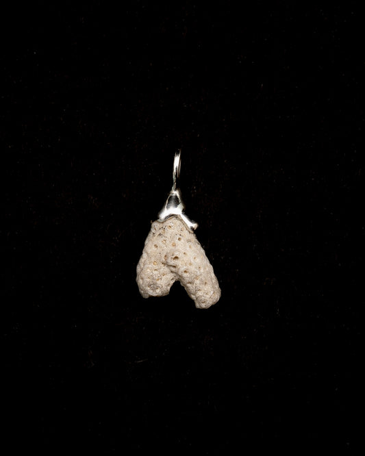 White coral pendant, held in sterling silver