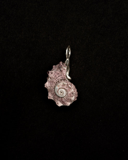 Mauve-hued Shell, Held in Sterling Silver