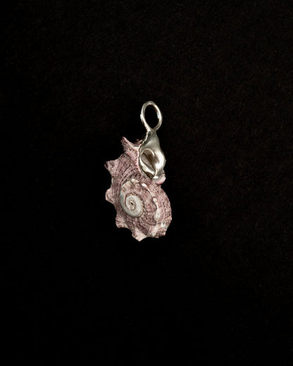 Mauve-hued Shell, Held in Sterling Silver